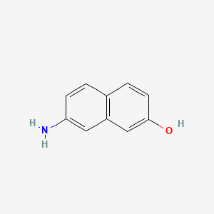 molecular formula C10H9NO B1202560 7-氨基-2-萘酚 CAS No. 93-36-7