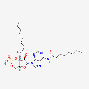 molecular formula C26H40N5O8P B1202632 N(1),O(2)-Dioctanoyl cyclic amp CAS No. 57329-09-6