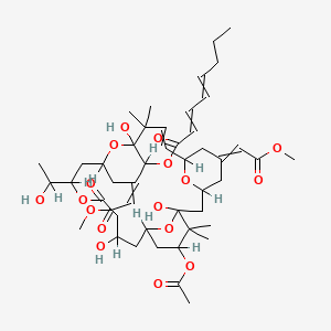 molecular formula C47H68O17 B1202755 [25-Acetyloxy-1,11,21-trihydroxy-17-(1-hydroxyethyl)-5,13-bis(2-methoxy-2-oxoethylidene)-10,10,26,26-tetramethyl-19-oxo-18,27,28,29-tetraoxatetracyclo[21.3.1.13,7.111,15]nonacos-8-en-12-yl] octa-2,4-dienoate 