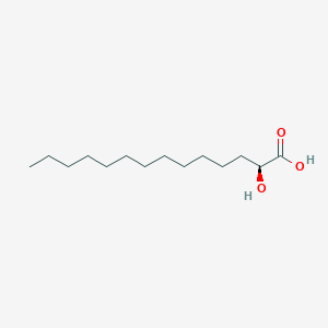 molecular formula C14H28O3 B1202961 α-羟基肉豆蔻酸 