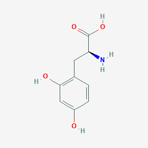molecular formula C9H11NO4 B1203094 (S)-2-Amino-3-(2,4-dihydroxyphenyl)propanoic acid CAS No. 24146-06-3