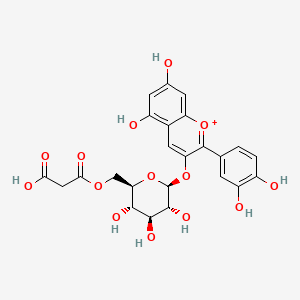 molecular formula C24H23O14+ B1203137 Cyanidin 3-O-(6-O-malonyl-beta-D-glucoside) CAS No. 171828-62-9