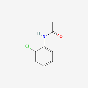 molecular formula C8H8ClNO B1203173 2'-氯乙酰苯胺 CAS No. 533-17-5