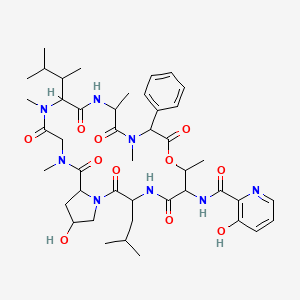 molecular formula C44H62N8O11 B1203400 Etamycin CAS No. 102646-56-0