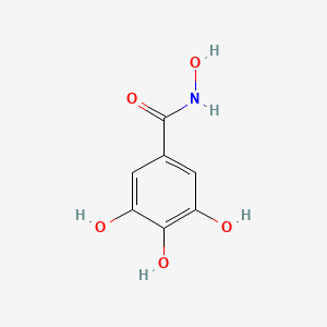 molecular formula C7H7NO5 B1203439 3,4,5-Trihydroxybenzohydroxamic acid CAS No. 69839-82-3