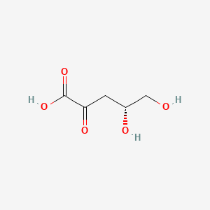 molecular formula C5H8O5 B1203534 (4r)-4,5-dihydroxy-2-oxopentanoic acid CAS No. 3495-27-0