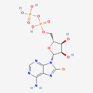 molecular formula C10H14BrN5O10P2 B1203600 8-Bromo-ADP CAS No. 23600-16-0