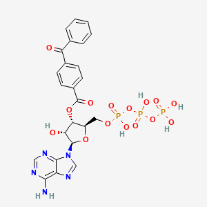 molecular formula C24H24N5O15P3 B1203631 BzATP CAS No. 81790-82-1