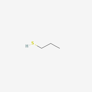 molecular formula C3H8S<br>CH3(CH2)2SH<br>C3H8S B1203654 1-Propanethiol CAS No. 79869-58-2