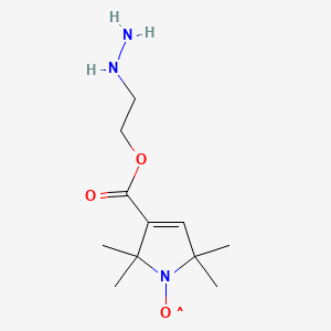 molecular formula C11H20N3O3 B1203723 2,2,5,5-Tetramethylpyrroline-1-oxyl-3-carboxy ethylhydrazine CAS No. 89367-58-8