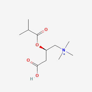 molecular formula C11H22NO4+ B1203888 Isobutyrylcarnitine 