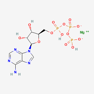 molecular formula C10H14MgN5O13P3 B1203934 Magnesium ATP CAS No. 1476-84-2