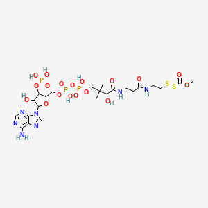 molecular formula C23H38N7O18P3S2 B1204017 Methyl [2-[3-[[4-[[[5-(6-aminopurin-9-yl)-4-hydroxy-3-phosphonooxyoxolan-2-yl]methoxy-hydroxyphosphoryl]oxy-hydroxyphosphoryl]oxy-2-hydroxy-3,3-dimethylbutanoyl]amino]propanoylamino]ethyldisulfanyl]formate CAS No. 72205-57-3