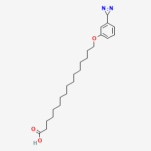 molecular formula C23H36N2O3 B1204137 16-[3-(3H-diazirin-3-yl)phenoxy]hexadecanoic acid CAS No. 78112-02-4