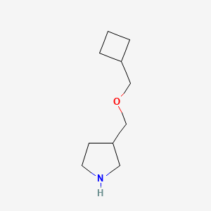 molecular formula C10H19NO B12042691 Cyclobutylmethyl 3-pyrrolidinylmethyl ether 