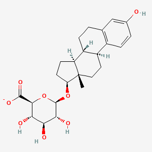 molecular formula C24H31O8- B1204281 17beta-Estradiol 17-glucosiduronate 
