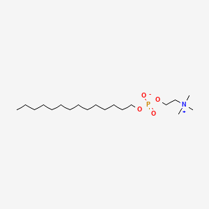 molecular formula C19H42NO4P B1204420 十四烷基磷酸胆碱 CAS No. 77733-28-9