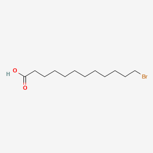 molecular formula C12H23BrO2 B1204433 12-Bromododecanoic Acid CAS No. 73367-80-3