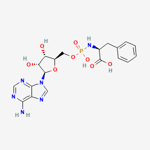 molecular formula C19H23N6O8P B1204661 N-Adenylyl-L-phenylalanine 