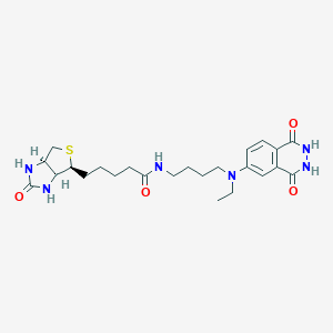 molecular formula C24H34N6O4S B012047 氨基丁基乙基异鲁米诺-生物素 CAS No. 103612-64-2