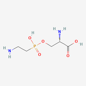 molecular formula C5H13N2O5P B1204914 O-(2-Aminoethyl)phosphono-L-serine CAS No. 53933-04-3