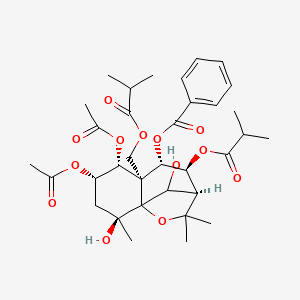 molecular formula C34H46O13 B1205003 Celangulin V CAS No. 139979-81-0