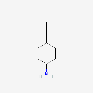 molecular formula C10H21N B1205015 4-tert-Butylcyclohexylamine CAS No. 5400-88-4