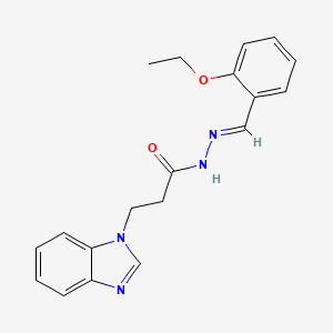 molecular formula C19H20N4O2 B12053207 3-(1H-Benzimidazol-1-YL)-N'-(2-ethoxybenzylidene)propanohydrazide 
