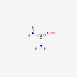molecular formula CH4N2O B12053893 diamino(113C)methan(18O)one 