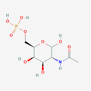 molecular formula C8H16NO9P B12054145 N-Acetyl-D-galactosamine 6-phosphate 
