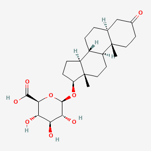 molecular formula C25H38O8 B1205526 5-alpha-Dihydrotestosterone glucuronide CAS No. 42037-24-1