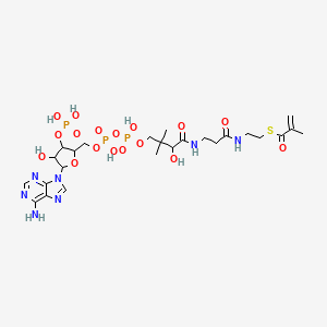 molecular formula C25H40N7O17P3S B1205557 Methacrylyl-CoA (not stereospecified) 