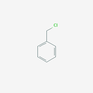 molecular formula C7H7Cl<br>C6H5CH2Cl<br>C7H7Cl B120561 Benzyl chloride CAS No. 100-44-7