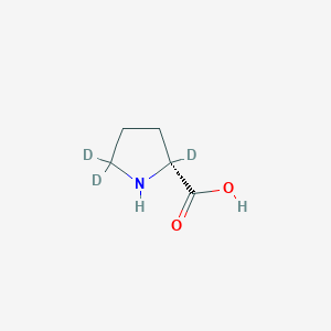molecular formula C5H9NO2 B12056108 D-Proline-2,5,5-D3 