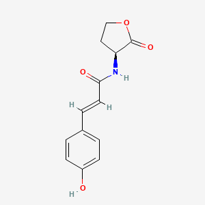 molecular formula C13H13NO4 B12056583 N-(p-Coumaroyl)-L-homoserine lactone 