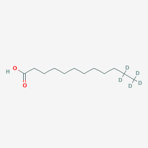 molecular formula C12H24O2 B12057010 Lauric acid-d5 