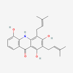 Atalaphylline