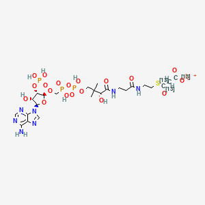 molecular formula C24H37LiN7O19P3S B12057354 Acetyl-1,2 Coenzyme A-13c2 (Lithium) 