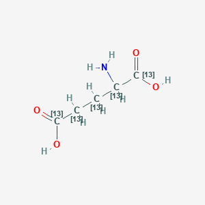 molecular formula C5H9NO4 B12058875 2-amino(1,2,3,4,5-13C5)pentanedioic acid 