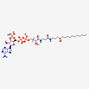 molecular formula C33H57LiN7O17P3S B12058926 Dodecanoyl-Coenzyme A lithium salt 