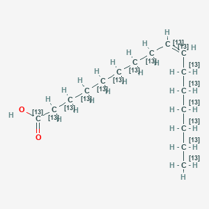 molecular formula C16H30O2 B12059070 Palmitoleic acid-13C16 