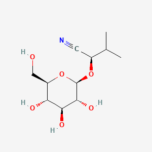 molecular formula C11H19NO6 B1205936 Epiheterodendrin CAS No. 57103-47-6