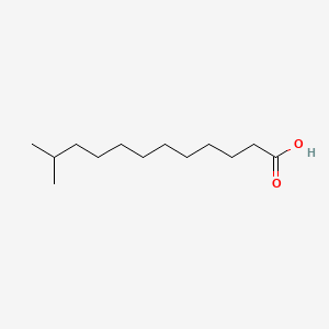 molecular formula C13H26O2 B1205961 Isotridecanoic acid CAS No. 25448-24-2