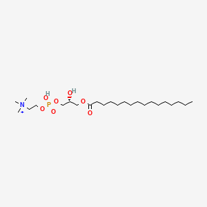 1-O-palmitoyl-sn-glycero-3-phosphocholine