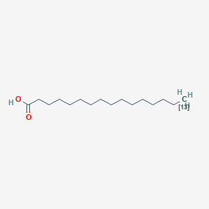 molecular formula C16H32O2 B12060663 (1613C)hexadecanoic acid CAS No. 158045-29-5