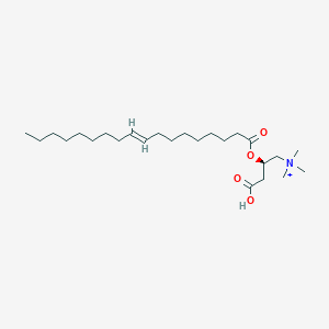 molecular formula C25H48NO4+ B12061004 [(2R)-3-carboxy-2-[(E)-octadec-9-enoyl]oxypropyl]-trimethylazanium 