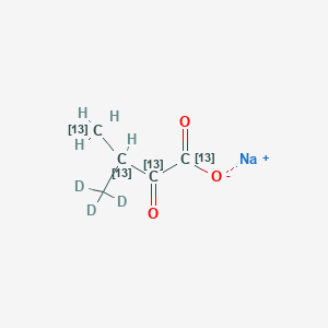 molecular formula C5H7NaO3 B12061050 Sodium 3-methyl-2-oxobutanoate-13C4,d3 