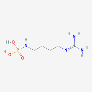 molecular formula C5H15N4O3P B1206205 N(4)-phosphoagmatine 