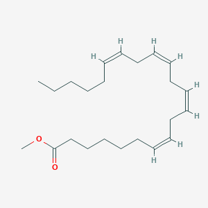 molecular formula C23H38O2 B12062821 cis-7,10,13,16-Docosatetraenoic acid methyl ester 