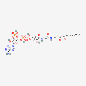 molecular formula C31H52N7O18P3S B12063403 3-Oxodecanoyl-CoA; (Acyl-CoA); [M+H]+ 